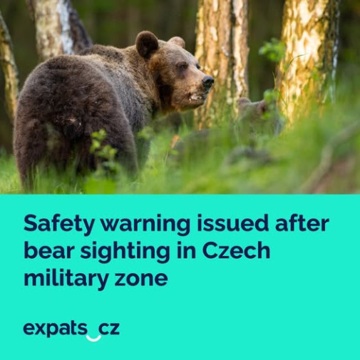 Oni raz aj tak odidu asi uz zacalo